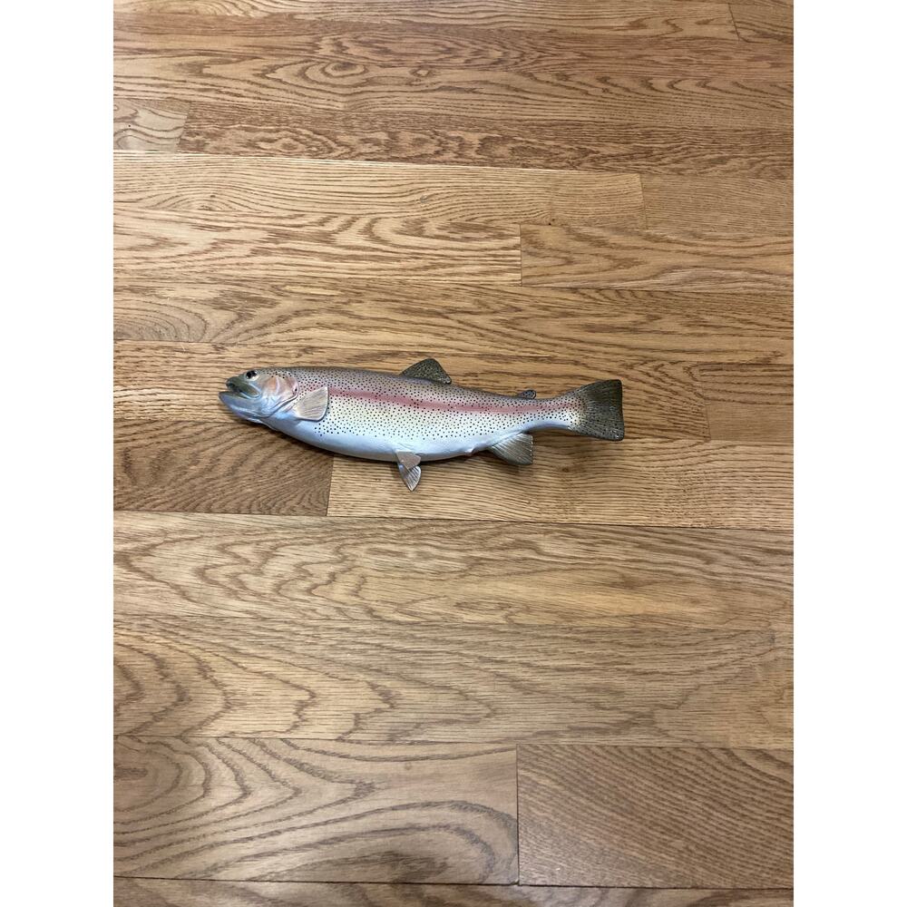 Rainbow trout wall hanging decor 13”